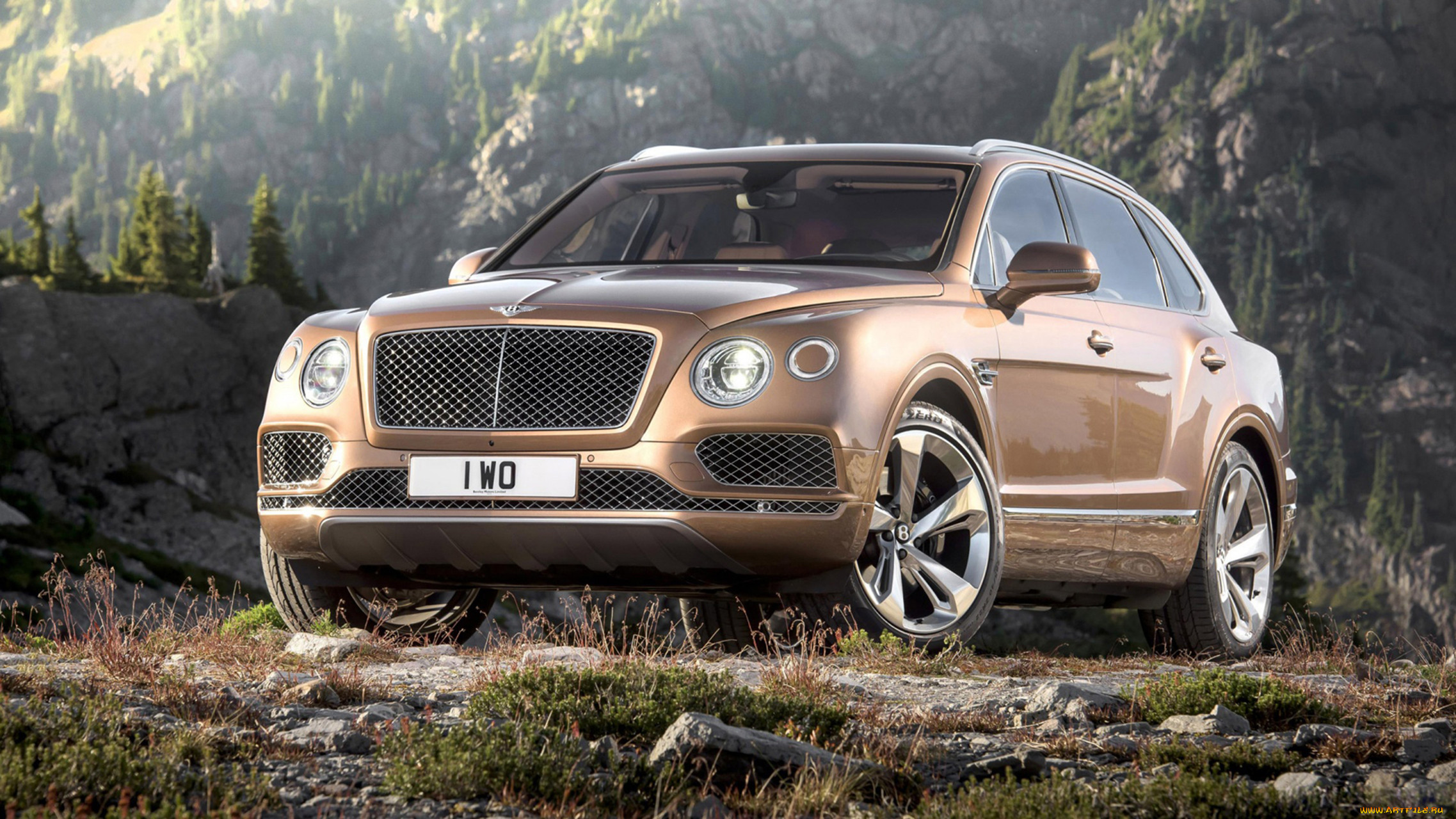 bentley bentayga concept 2016, , bentley, 2016, concept, bentayga